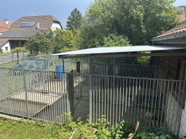 Hundezwinger