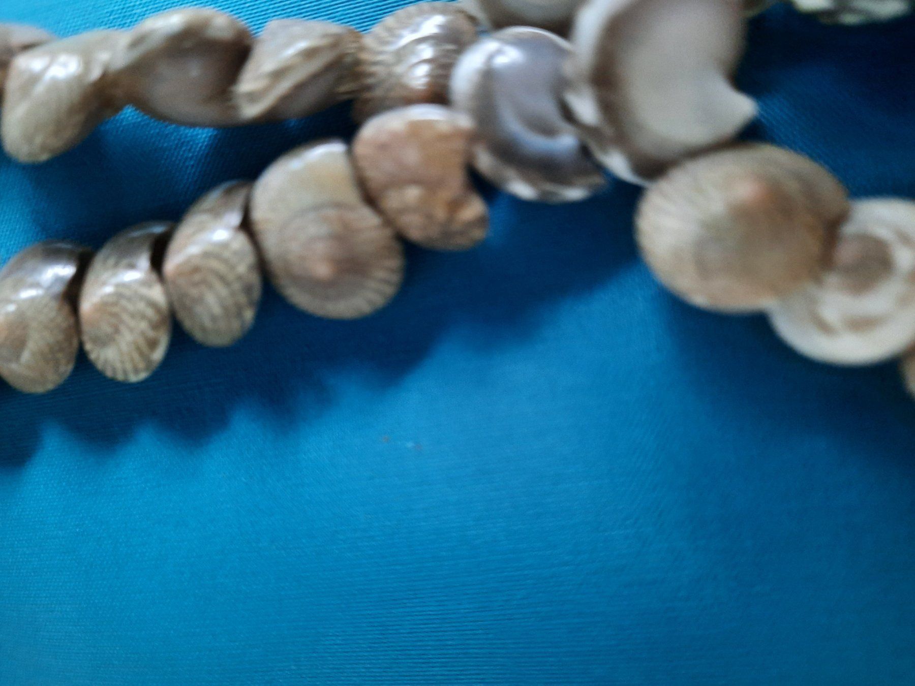 Ketten: Muschelkette, 46cm, neu – Neu (gemäss Beschreibung) aus Herrliberg von AlexandraBopp 1