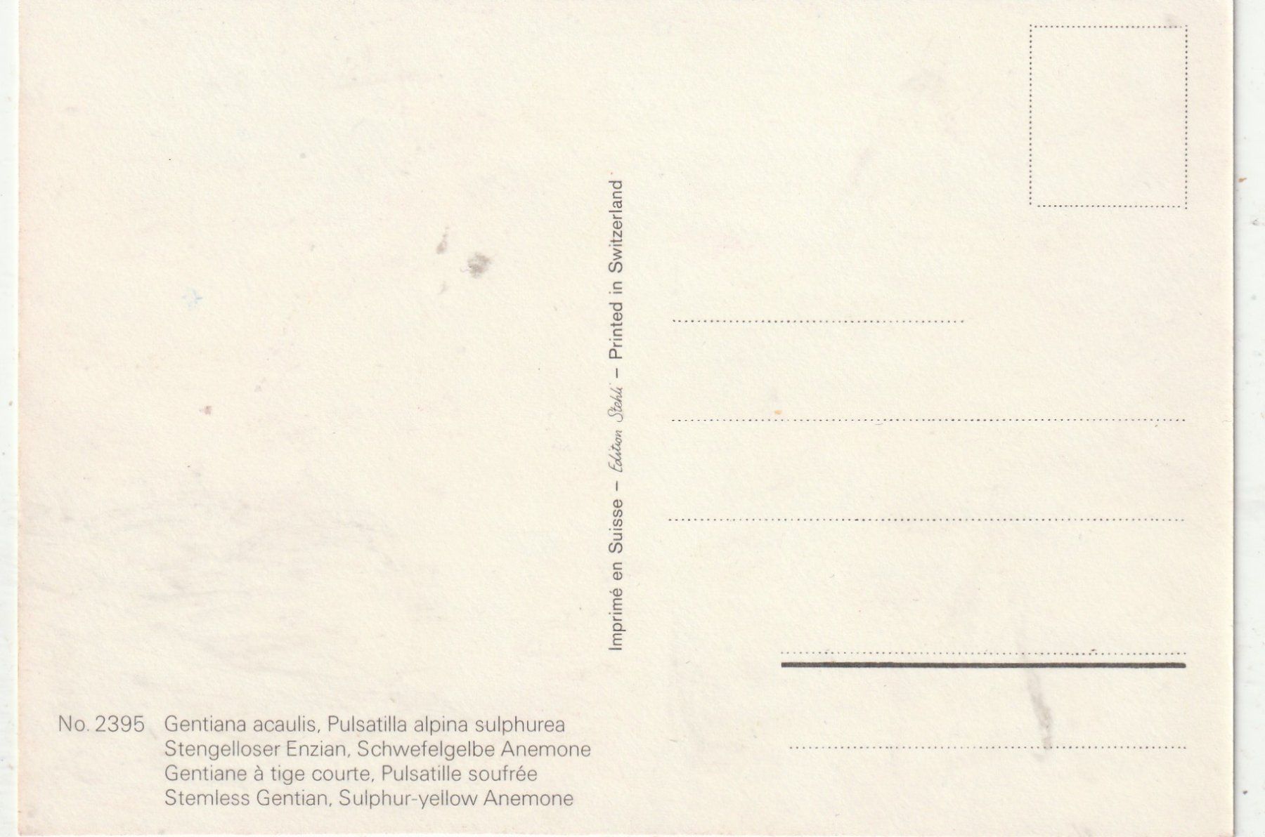 Cartes postales: Blumenkarte – D'occasion à Lumbrein par made02 1