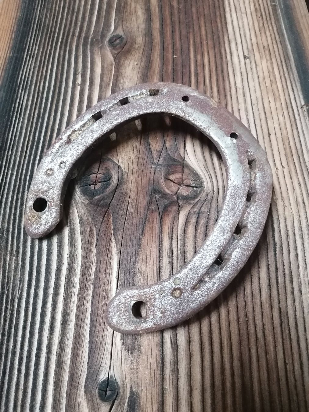 Altro in Accessori per animali: 48 Hufeisen – Usato da Bütschwil venduto da fredi1970