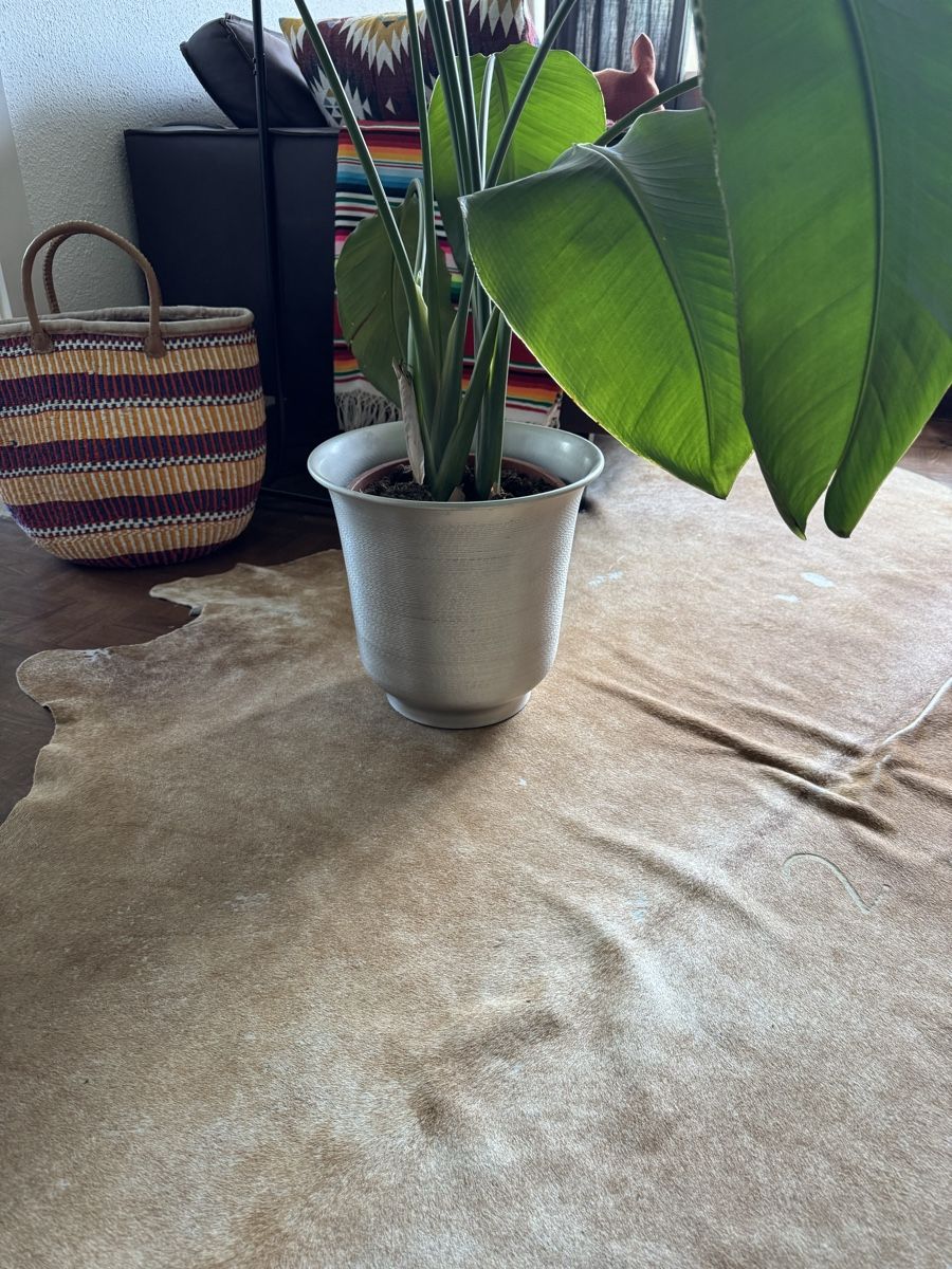 Vasi per fiori: Dekorativer Blumentopf gross – Usato da Buchs ZH venduto da crazyhandbaggirl123