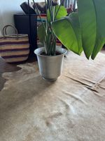 Dekorativer Blumentopf gross
