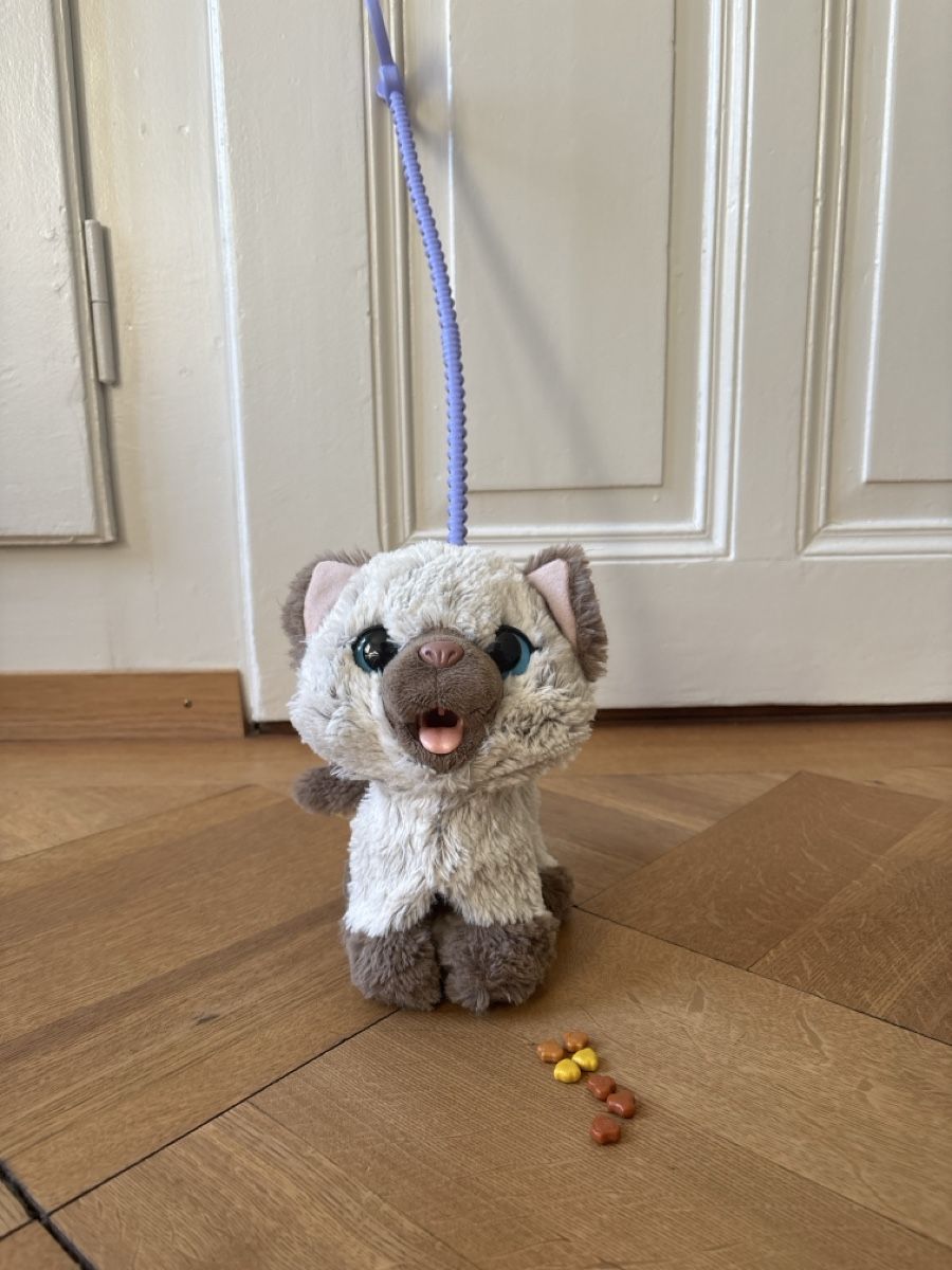 Giocattoli: FurReal friends Katze – Usato da Bern venduto da 24Sonne24