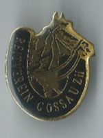 Reiterverein Gossau ZH, Pin