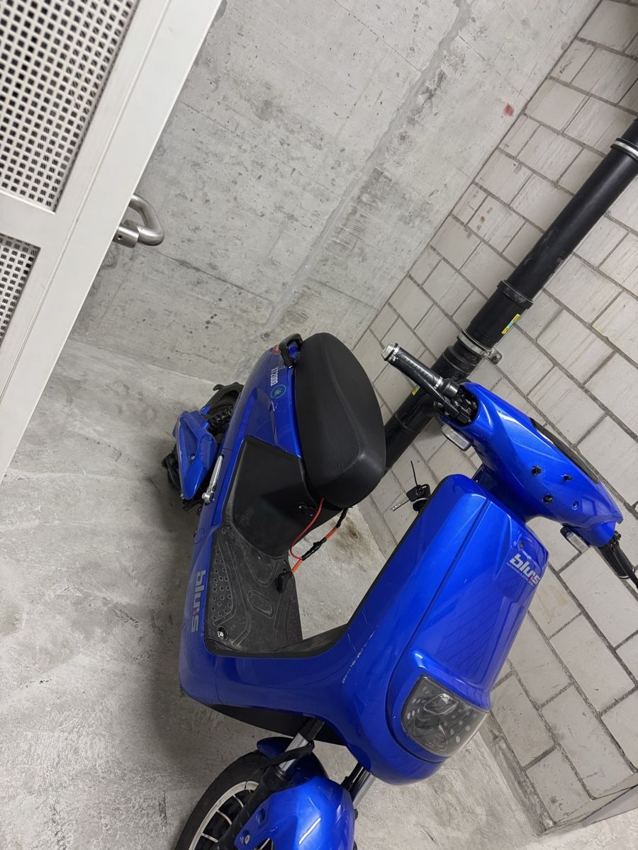 Elektromobile: E Roller SPC Xt 2000 – Defekt aus zürich von fernandes021 1
