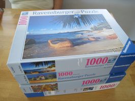 4 Puzzle à 1000 Teile