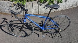 Trek Pilot 5.0 WSD Vollcarbon Rennrad/Rennvelo - ready2race