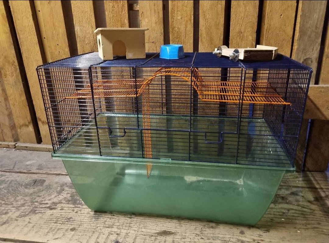 Käfige, Transport & Sicherheit: Cage pour souris – Gebraucht aus La Chaux-de-Fonds von zaza.zaza