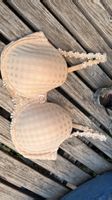 Marie Jo BH 80D – elegantes Nude mit wunderschöner Spitze