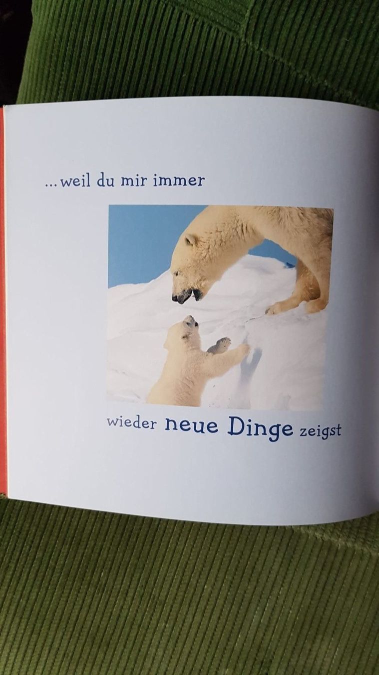 Libri: Oma - Du bist Klasse NEU – Nuovo (secondo la descrizione) da Spiegel b. Bern venduto da sus_xj97 2