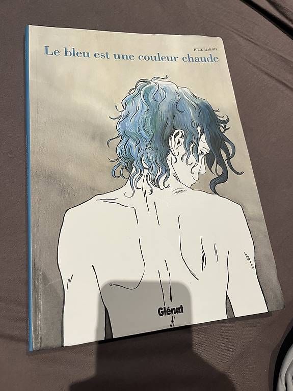 Comics: Le bleu est une couleur chaude – Gebraucht aus Wimmis von nik_7vm7 1