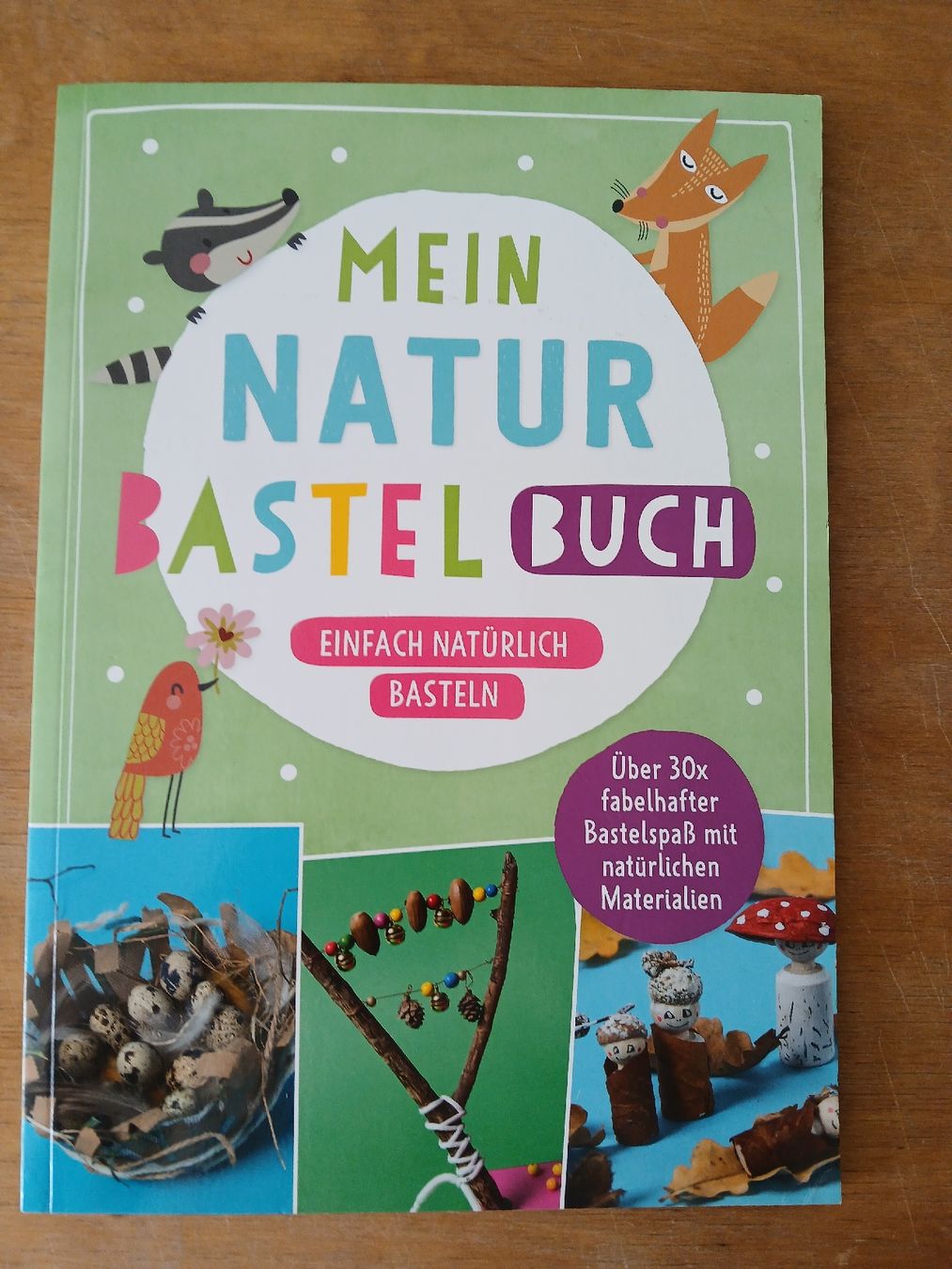 Libri: Bastelbuch – Usato da Ennetmoos venduto da kch_2tpv