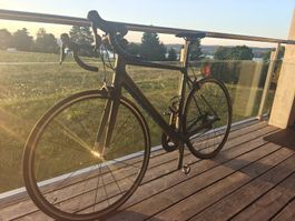 Canyon Endurace CF F10 Carbon – Grösse M – Shimano Ultegra 6