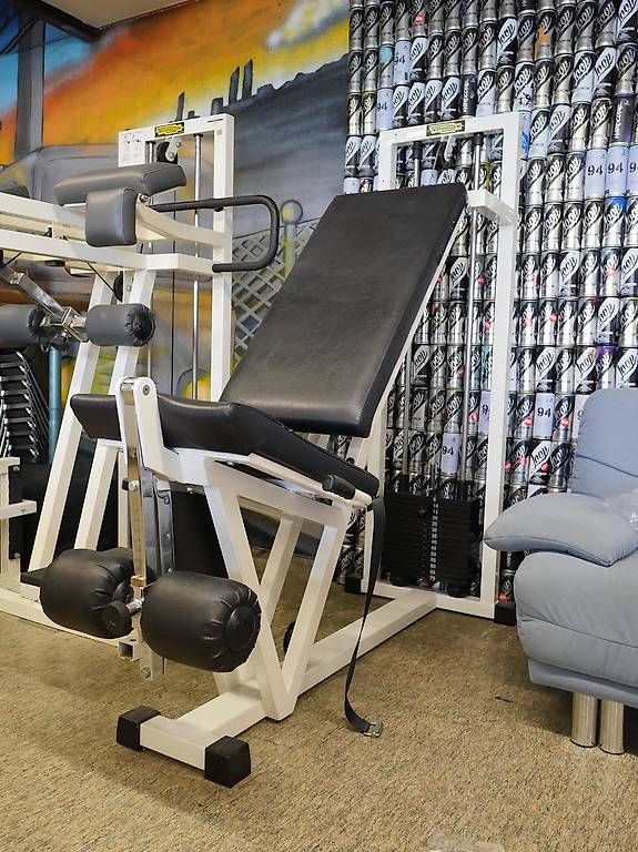 Technogym Hometrainer: Technogym Leg Extension / Bein Strecker – Gebraucht aus Arisdorf von G.Friderich