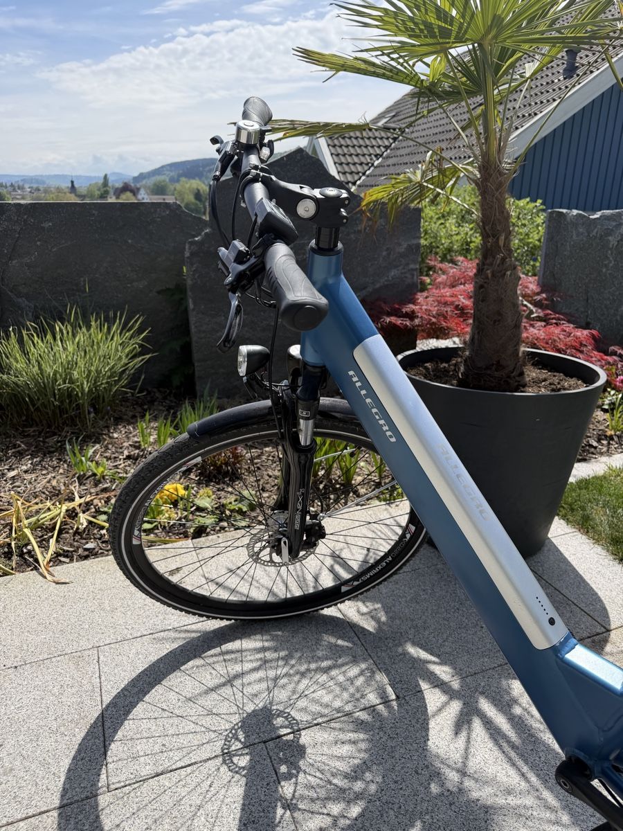 Biciclette: E-Bike Allegro Explorer – Usato da Ettenhausen TG venduto da Pascha03 1