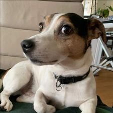 Profile image of flixmaus
