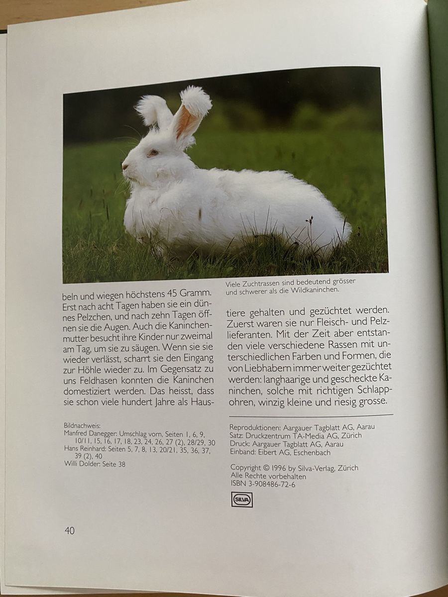Libri: Ich bin ein Hase - Ursula Dolder – Usato da Schwarzenburg venduto da Michellu 3