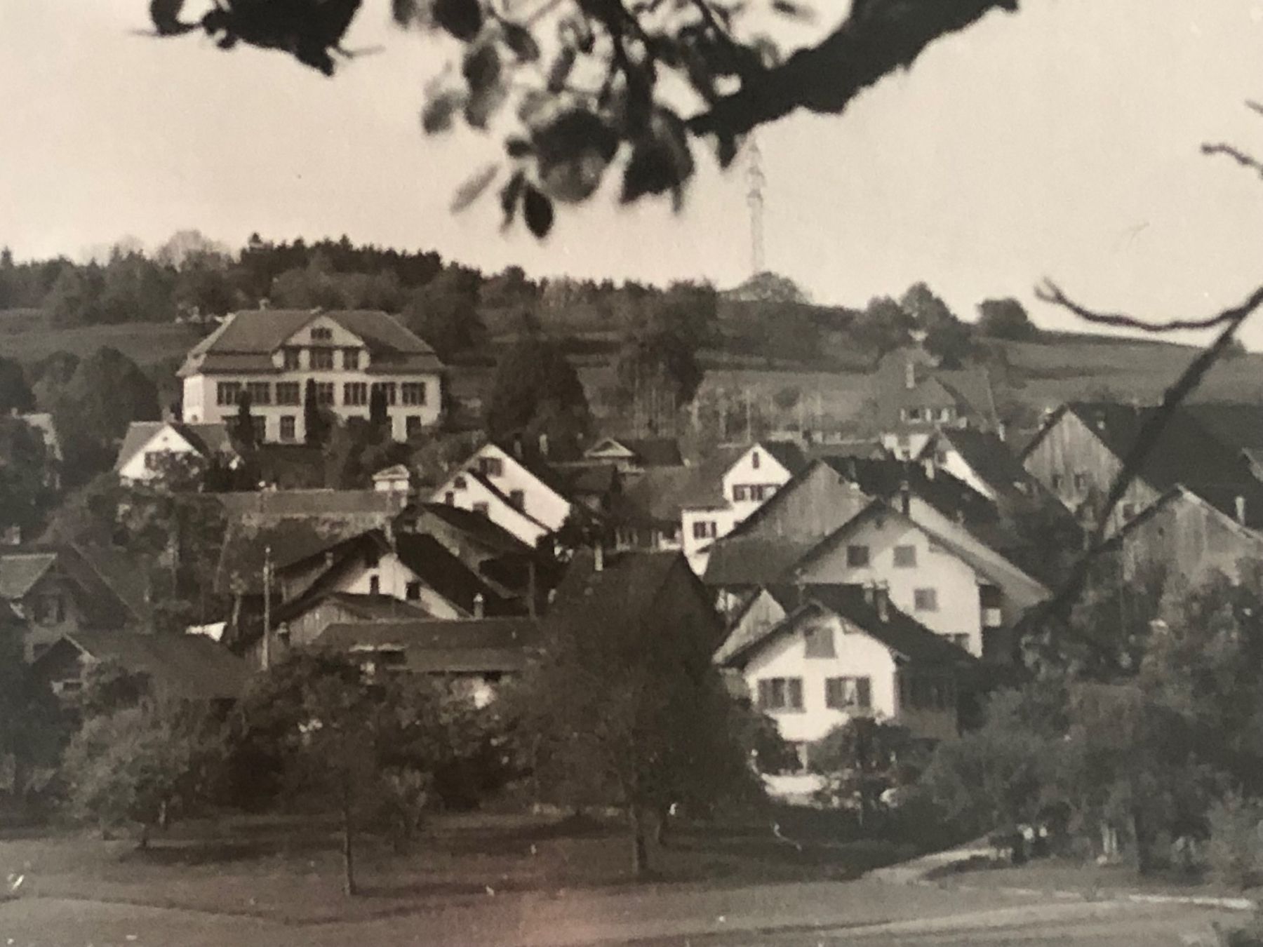 Cartoline postali: RUSSIKON ZH 1955 - Gesamtansich – Usato da Lufingen venduto da Rac0