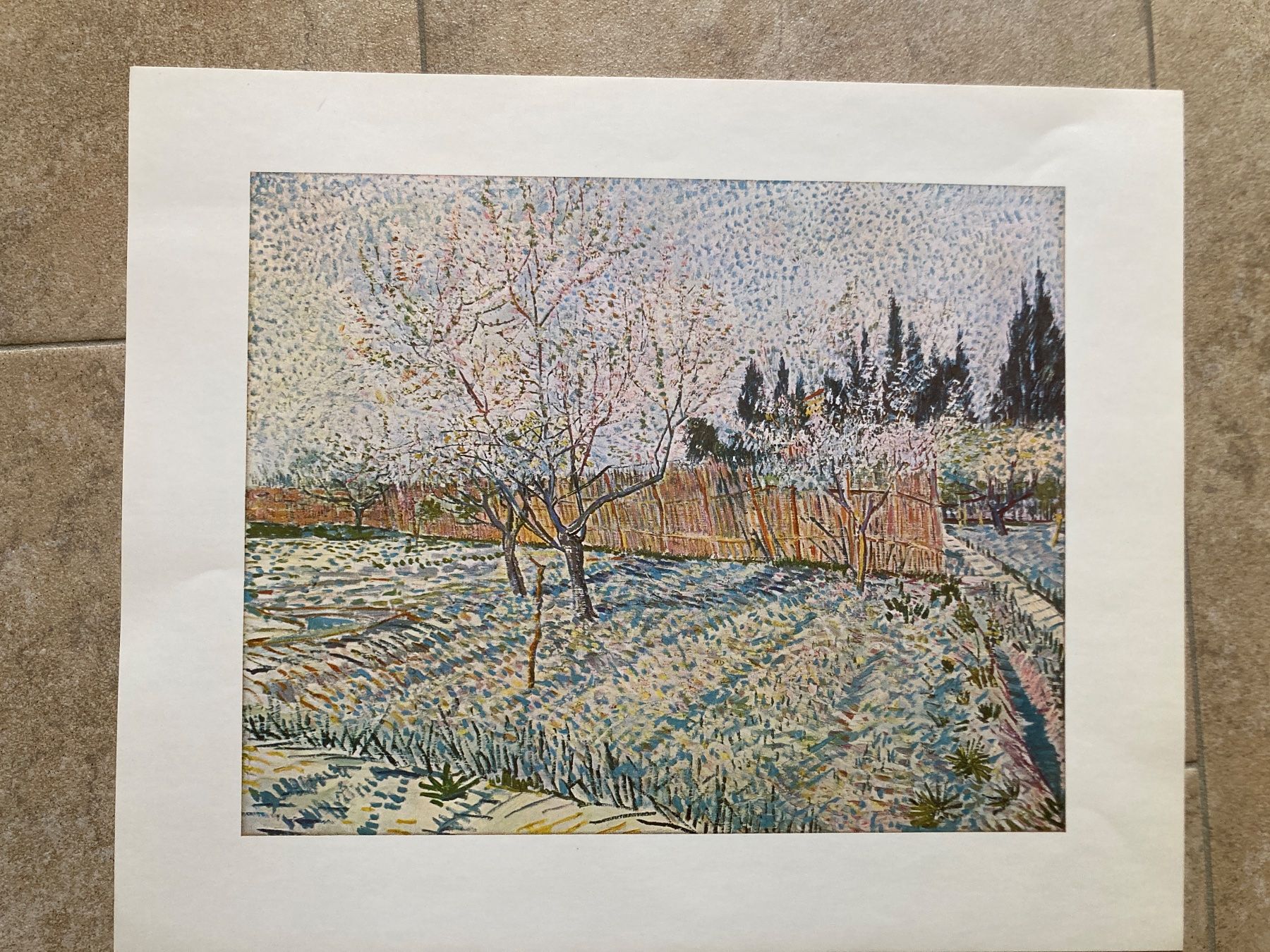 Foto & Immagini: Van Gogh Kunstdrucke, 3 Stk., 1960 – Usato da Gelterkinden venduto da froggy80 2