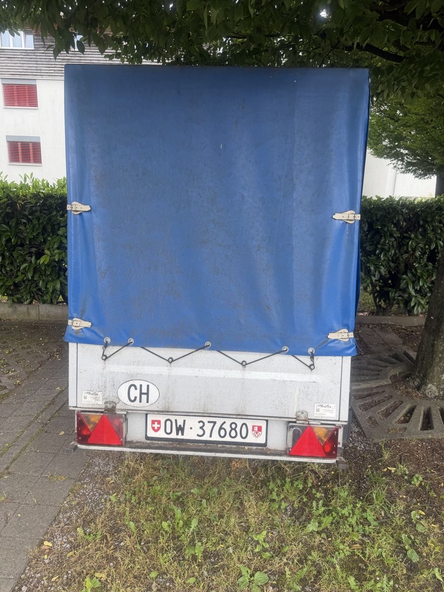 Rimorchi: Anhänger/ Transporter – Usato da kägiswil venduto da Miky2003 1