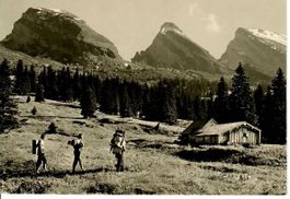 Alp Sellamatt