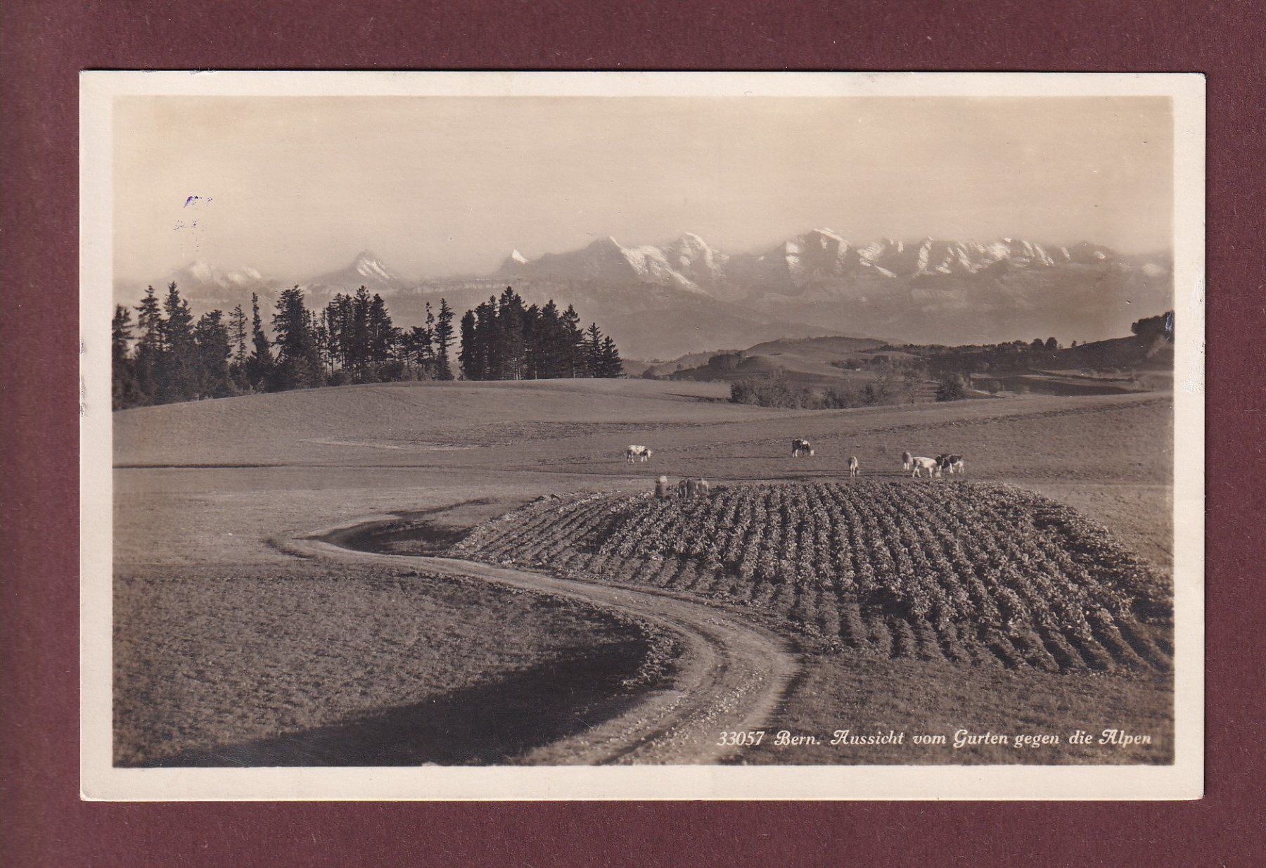 Ansichtskarten: BERN - Aussicht vom Gurten - 1928 – Gebraucht aus Pully von nicecards
