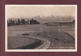 BERN - Aussicht vom Gurten - 1928