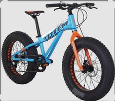 Totem Fat Bike da 20 pollici,