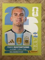 Panini ARG 15