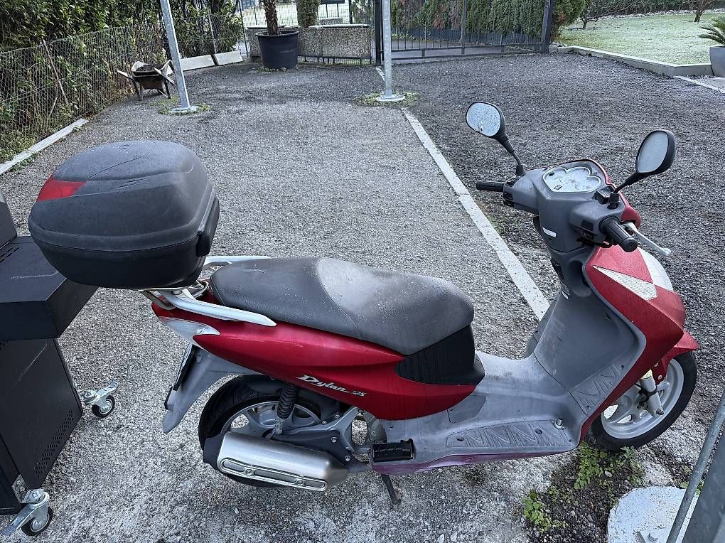 Honda Scooter: Scooter Honda dylan 125 – Usato da Quartino venduto da Biondo27 2