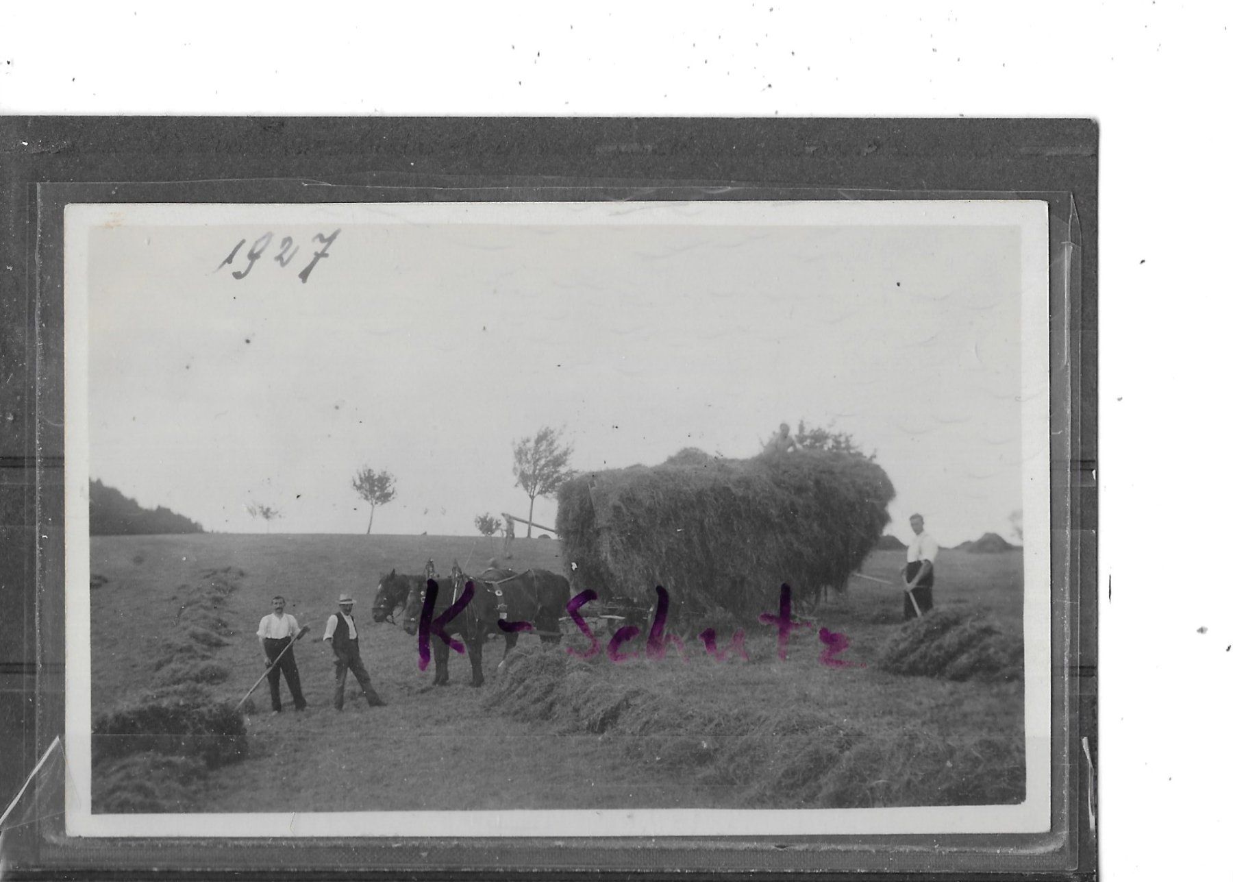 Cartoline postali: Ansichtskarte Landwirtschaft 1927 Beim Heuen – Usato da Schocherswil venduto da Wilare