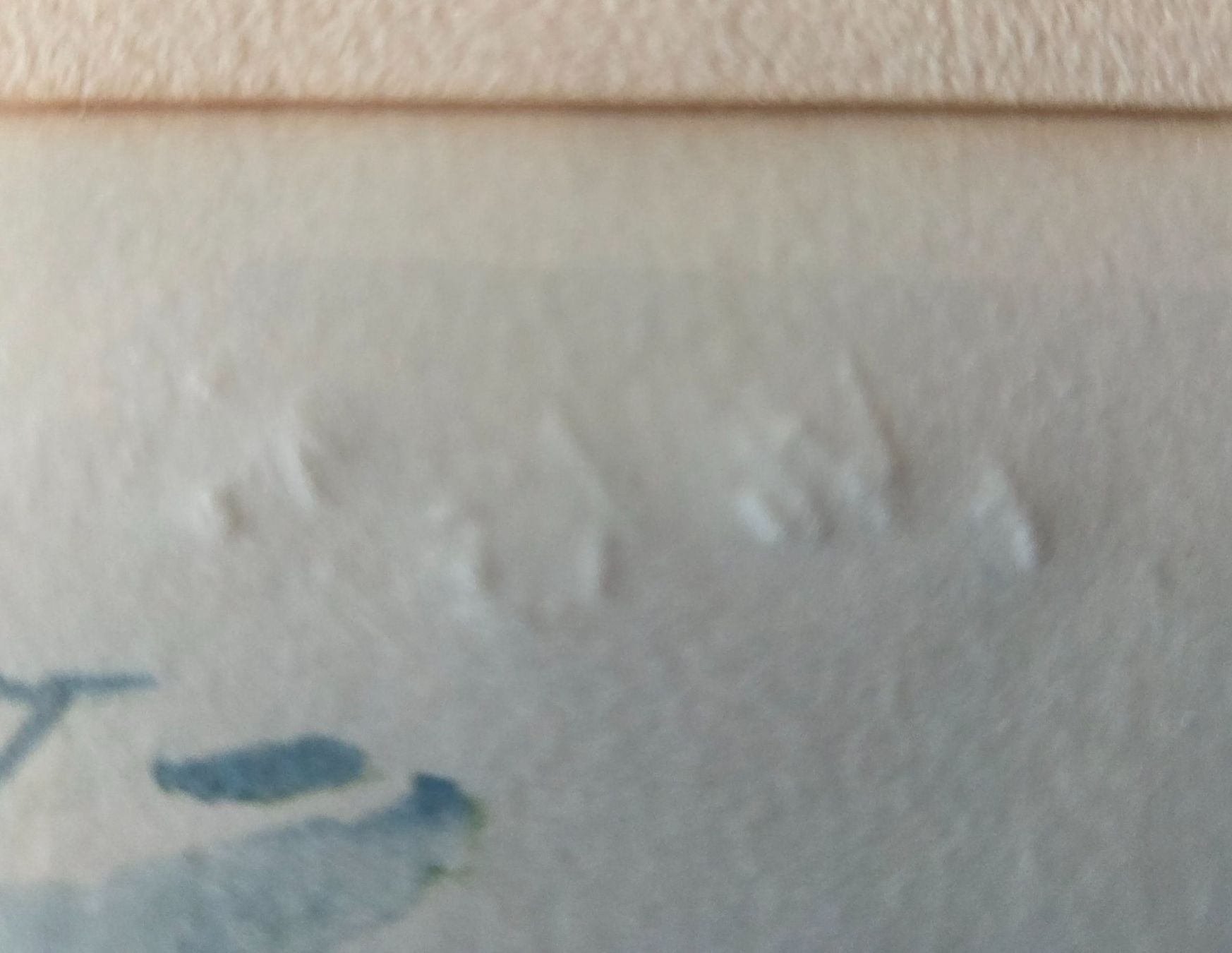 Foto & Immagini: Aquarell Blumenbild von Pierre Chàtillon – Usato da Gossau SG venduto da tenerife11 4