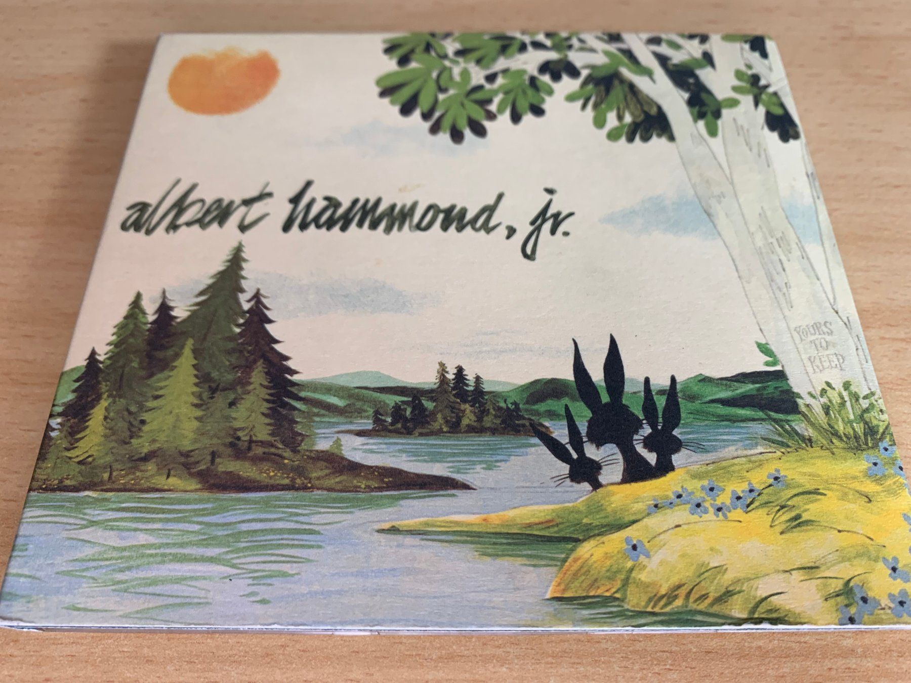 CD: Albert Hammond, Jr. – Yours To Keep – Usato da Rikon im Tösstal venduto da Alpenmutz