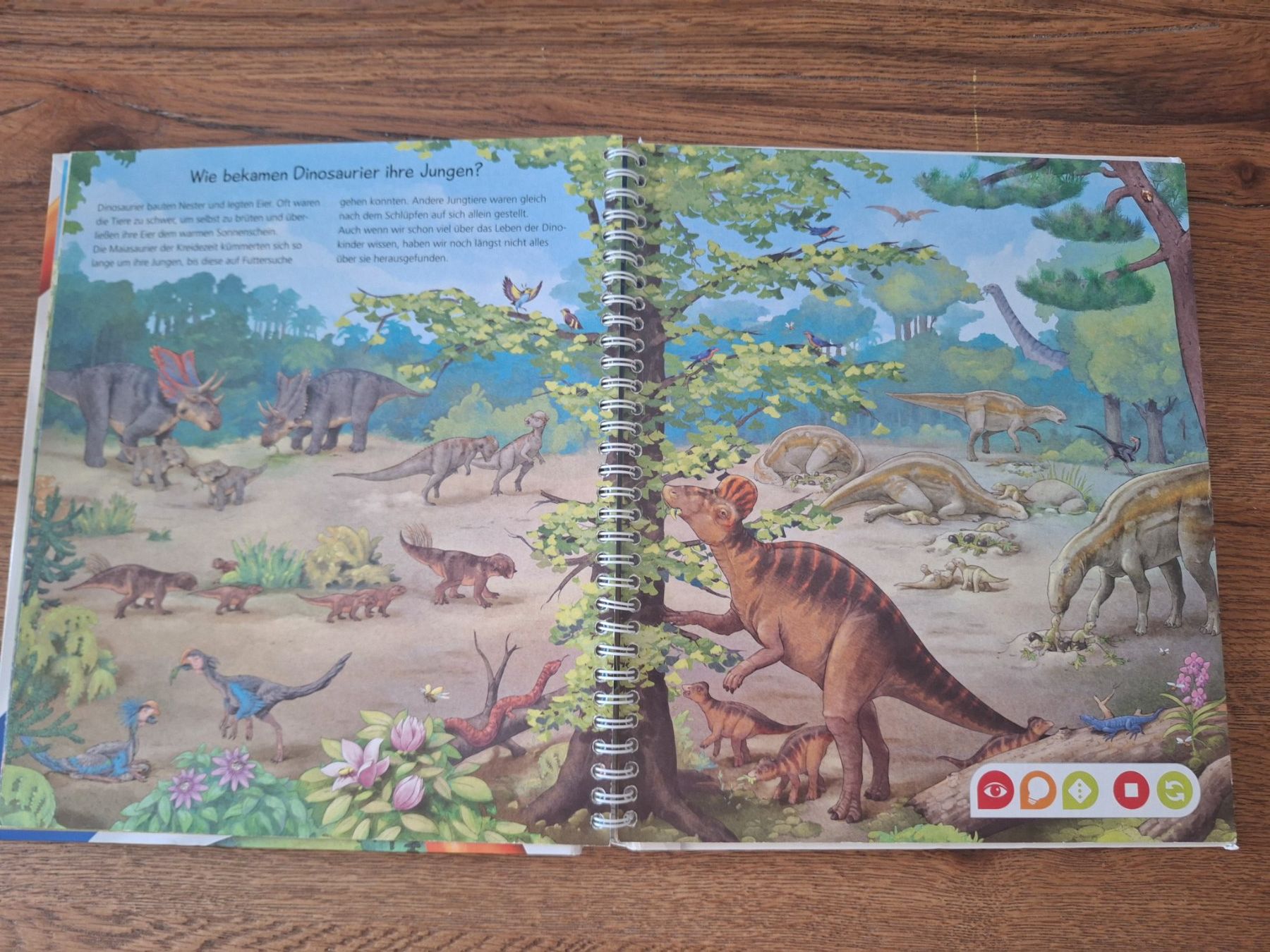 Libri: Tiptoi Buch - Wir entdecken die Dinosaurier – Usato da Reinach AG venduto da MRoxanne 1