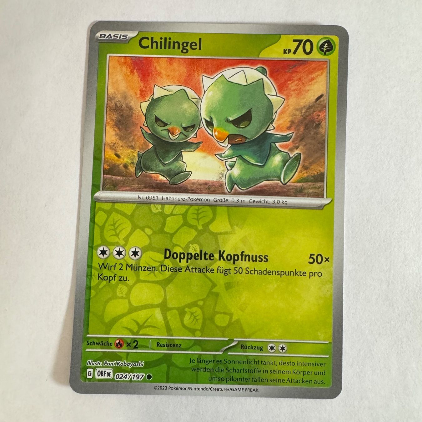 Pokémon Carte collezionabili: Pokémon OBF - Chilingel - 24 / 197 - DE – Nuovo (secondo la descrizione) da Staad SG venduto da miaCards