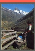 AK color Val d’Hérens VS à la fontaine,Dent blanche ≈ 1966 