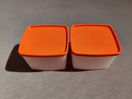 Tupperware - Gerfrierbehälter (2x 800ml)