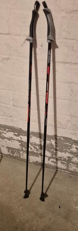 Exel Bastoncini da trekking: Exel Nordic Walking Stöcke 2stk. – Usato da Liebefeld venduto da DekoBrokland