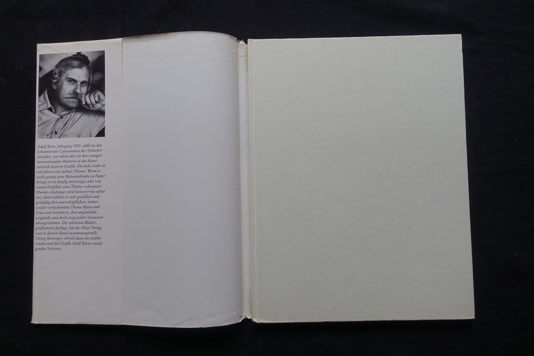 Libri: Adolf Born: Die liebe Liebe – Usato da Gutenswil venduto da Optico 1