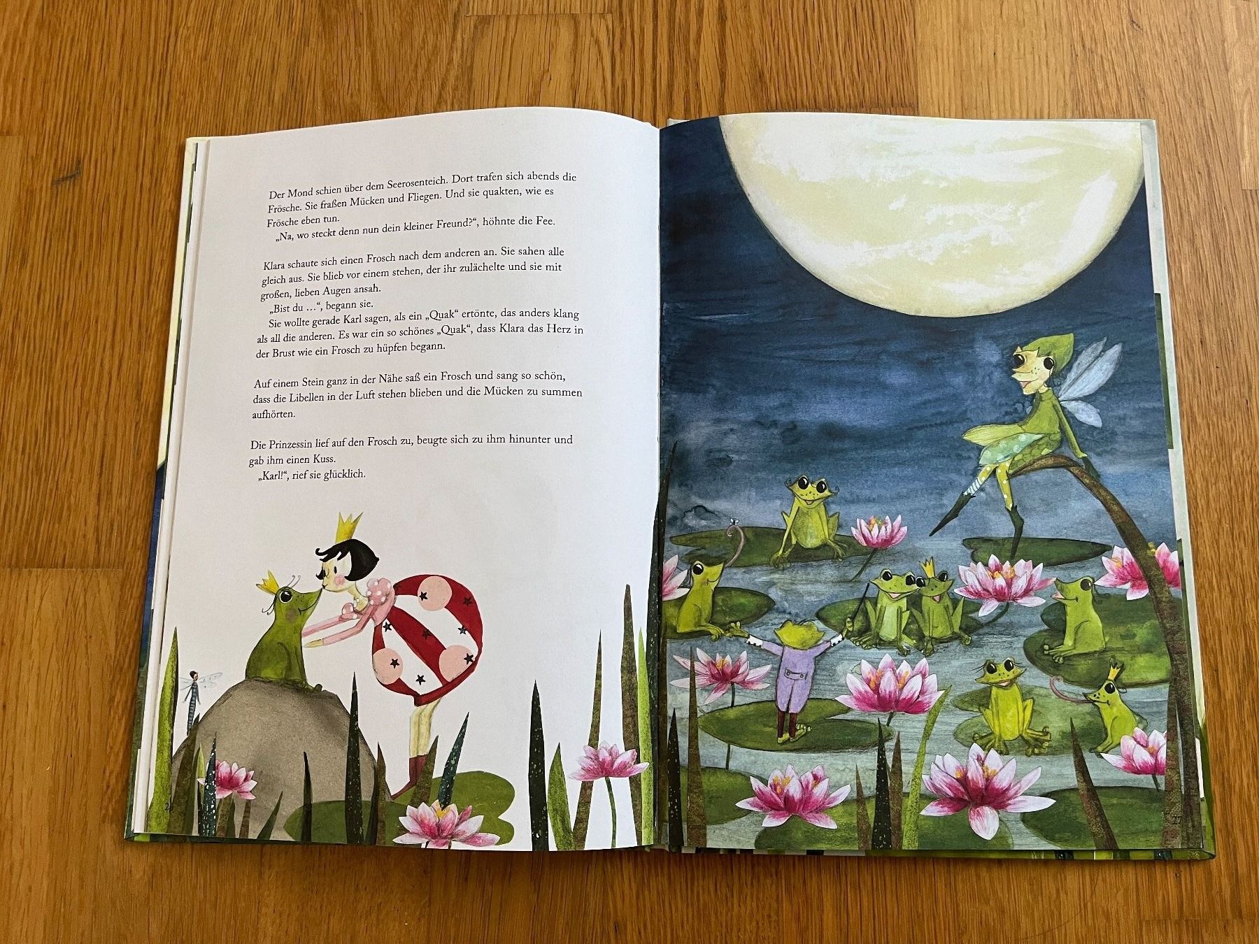 Libri: Bilderbuch  "Der Froschprinz" - IKEA – Usato da Grosswangen venduto da Vita500 2