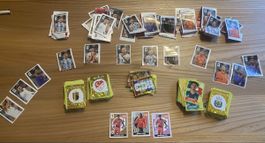 Panini WM Sticker Set