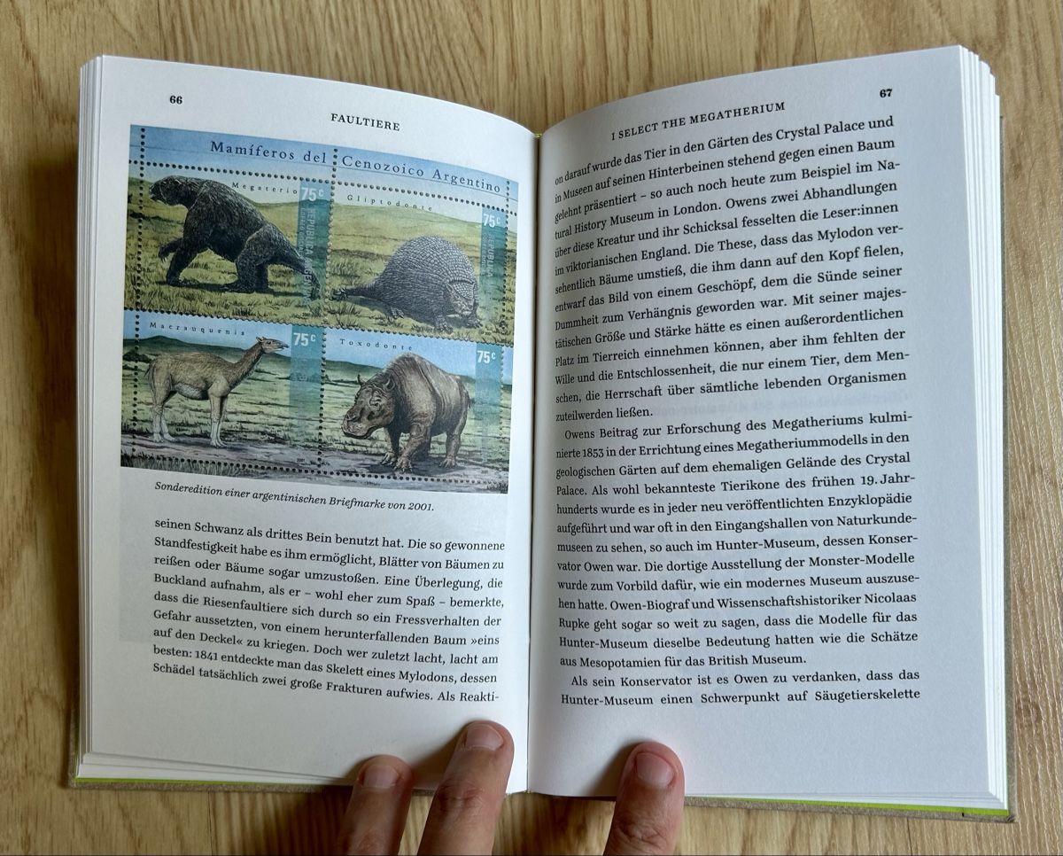 Bücher: Faultiere - Ein Portrait von Keiling & Liedke, Top Zustand – Neu (gemäss Beschreibung) aus Bühler von Schluempfli01 3