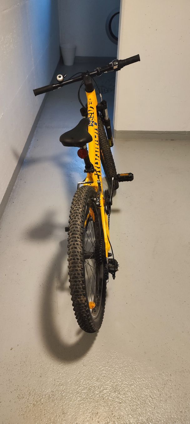 Bergamont Biciclette: Bergamont Revox 24 – Usato da Nebikon venduto da tiagoritz 4