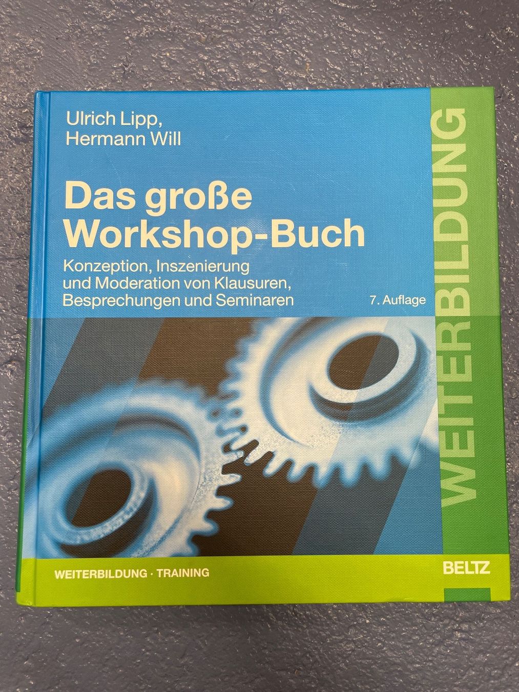 Libri: LIPP/WILL Das Grosse Workshop-Buch (Beltz, 2004) – Usato da Frasnacht venduto da GracyStore
