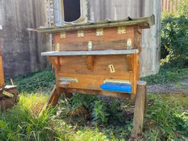 Bienenkiste CH Maas, mit Honigraum