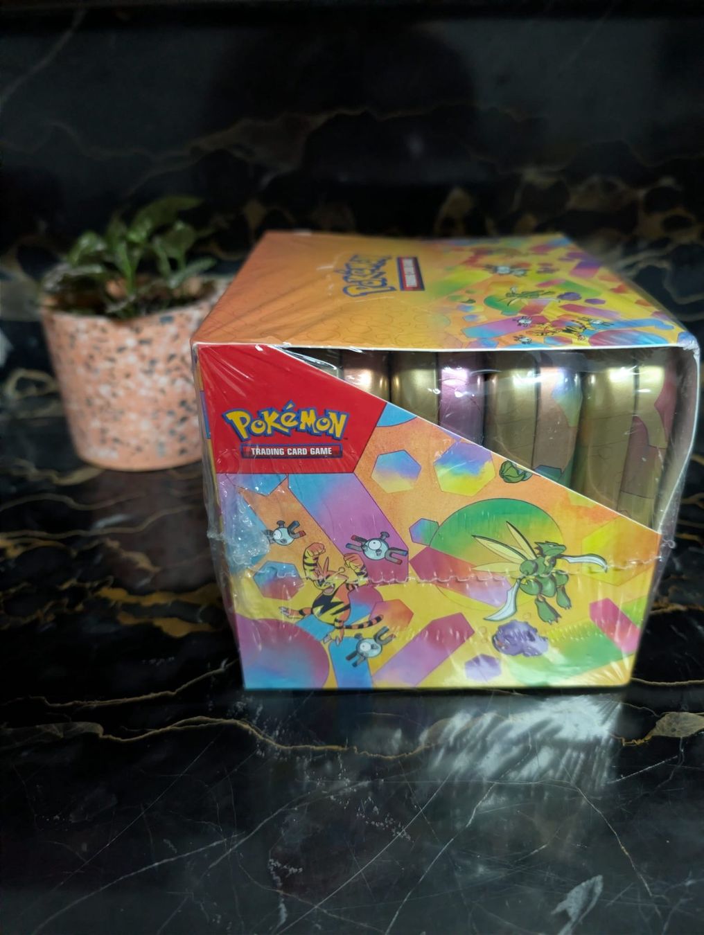 Pokémon Carte collezionabili: 151 Mini Tin Display ENG Pokemon – Usato da Arbon venduto da Patricckk 1
