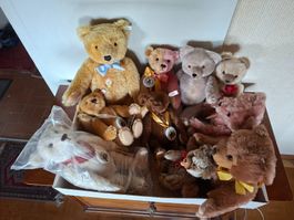 Konvolut Steiff und Teddy Teddybären Jubiläums Editionen