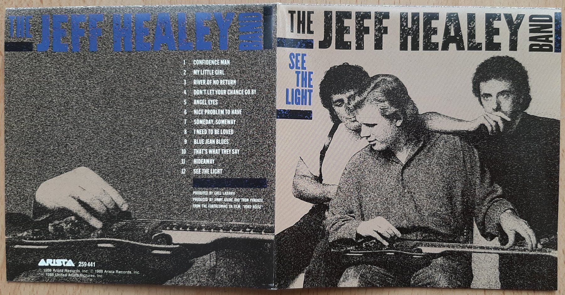 CD: JEFF HEALEY See The Light CD Blues Rock – Usato da Frauenfeld venduto da marckus 3