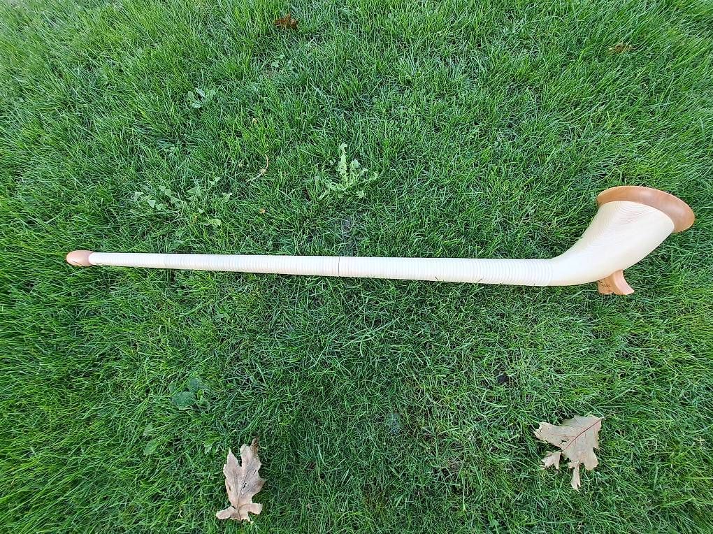 Instruments de musique: Minialphorn – Neuf avec emballage d'origine à Ballwil par Odi-sAlphornshop 1