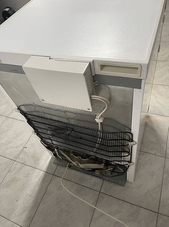 Frigoriferi: Liebherr Kühlschrank mit Glastüre – Usato da Wynau venduto da Lorent_Be 4